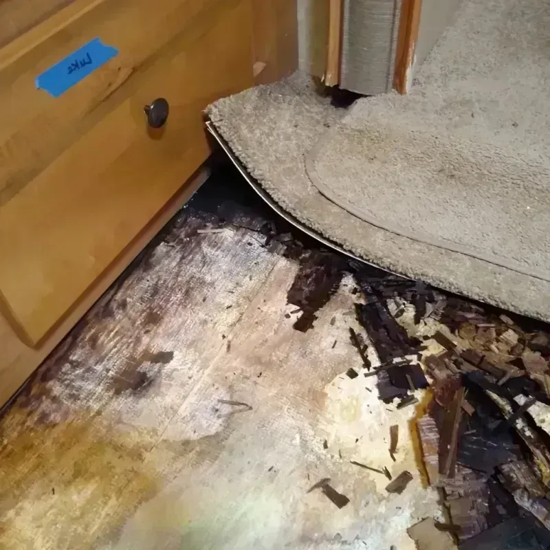 Wood Floor Water Damage in Madison, IL